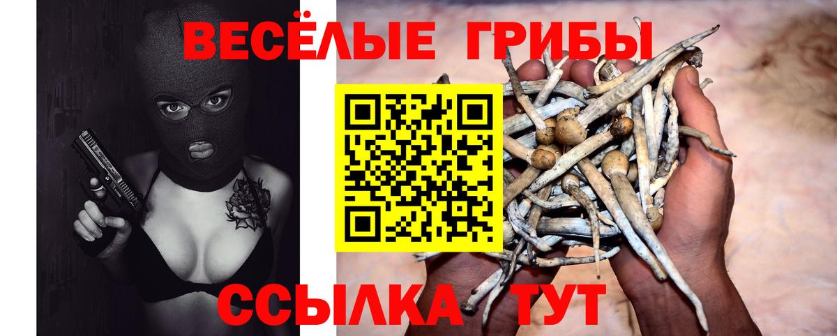 Псилоцибиновые грибы MAGIC MUSHROOMS Лыткарино